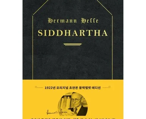 갑성비아이템 베스트8 싯다르타 사용리뷰분석