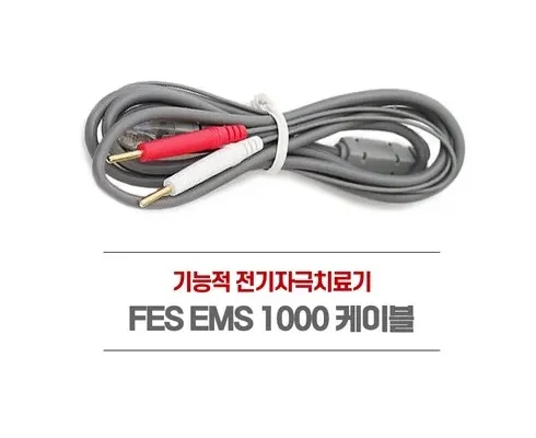 대학생추천 TOP8 ems1000 분석안내 후기별점정리